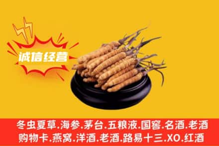 桂林市叠彩回收冬虫夏草